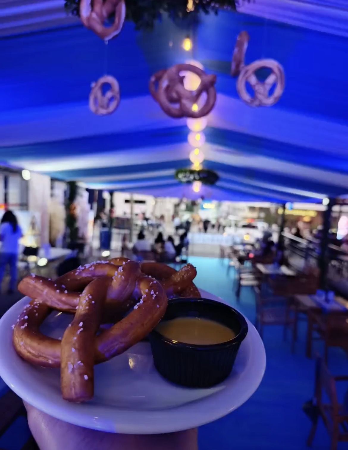 Oktoberfest 2🥨26